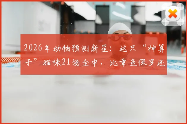 2026年动物预测新星：这只“神算子”猫咪21场全中，比章鱼保罗还玄乎？看看网友怎么说